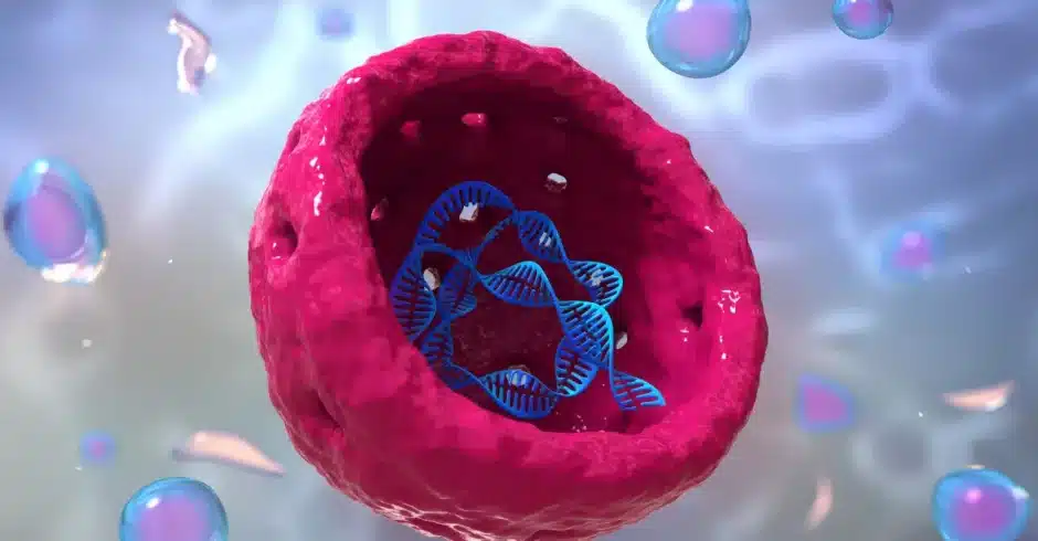 Nuclear-Receptors-and-Their-Classifcations-Blog