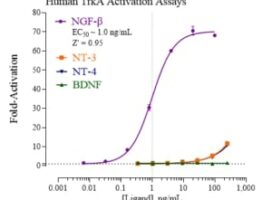 Line graph showing the activation dose response for indigo biosciences Human TrkA Reporter assays